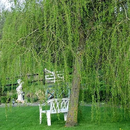 Les Petites Aunettes Bed & Breakfast 3*