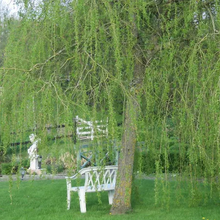 Les Petites Aunettes 3*