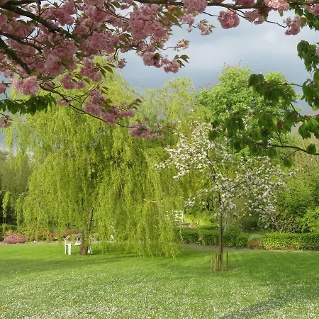 Les Petites Aunettes 3*