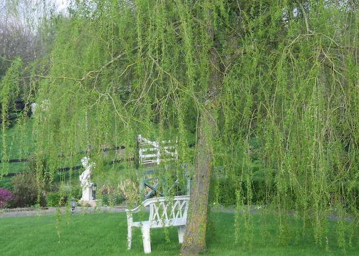 Les Petites Aunettes 3*