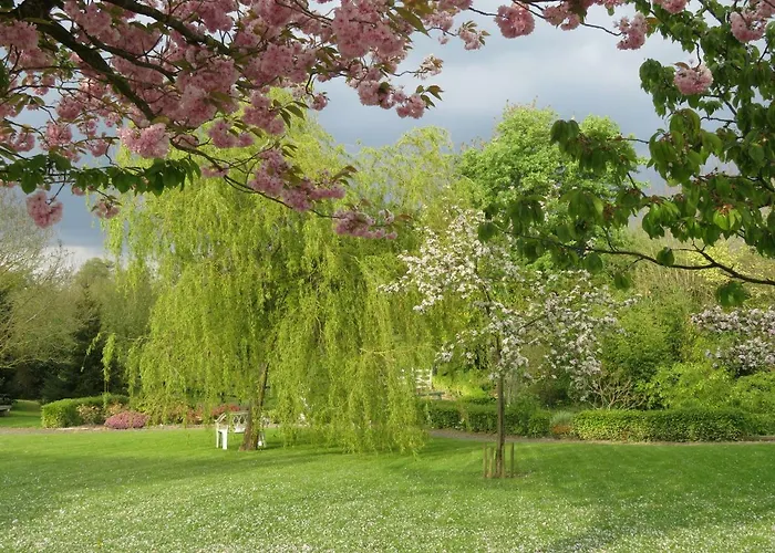 Les Petites Aunettes 3*